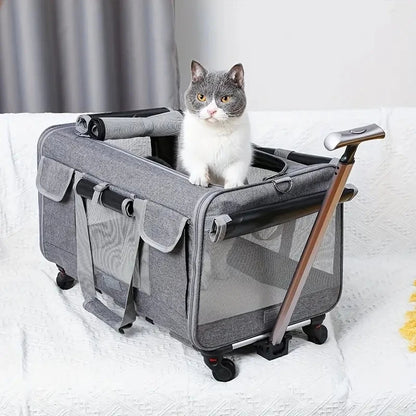 Sac de transport pour chat à roulettes – style valise, confortable et pratique