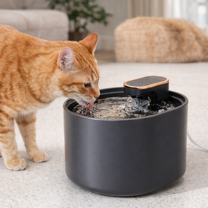 Fontaine à eau pour chat LED | NightFlow™