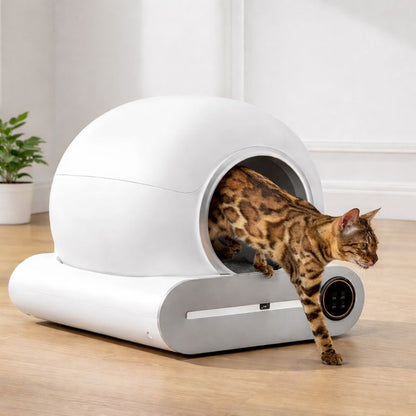 Litière autonettoyante connectée | Moustache & Cie