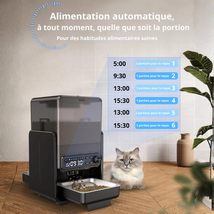 Distributeur automatique de croquettes double – programmation manuelle | Moustache & Cie
