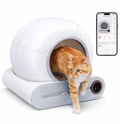 Litière autonettoyante connectée | Moustache & Cie