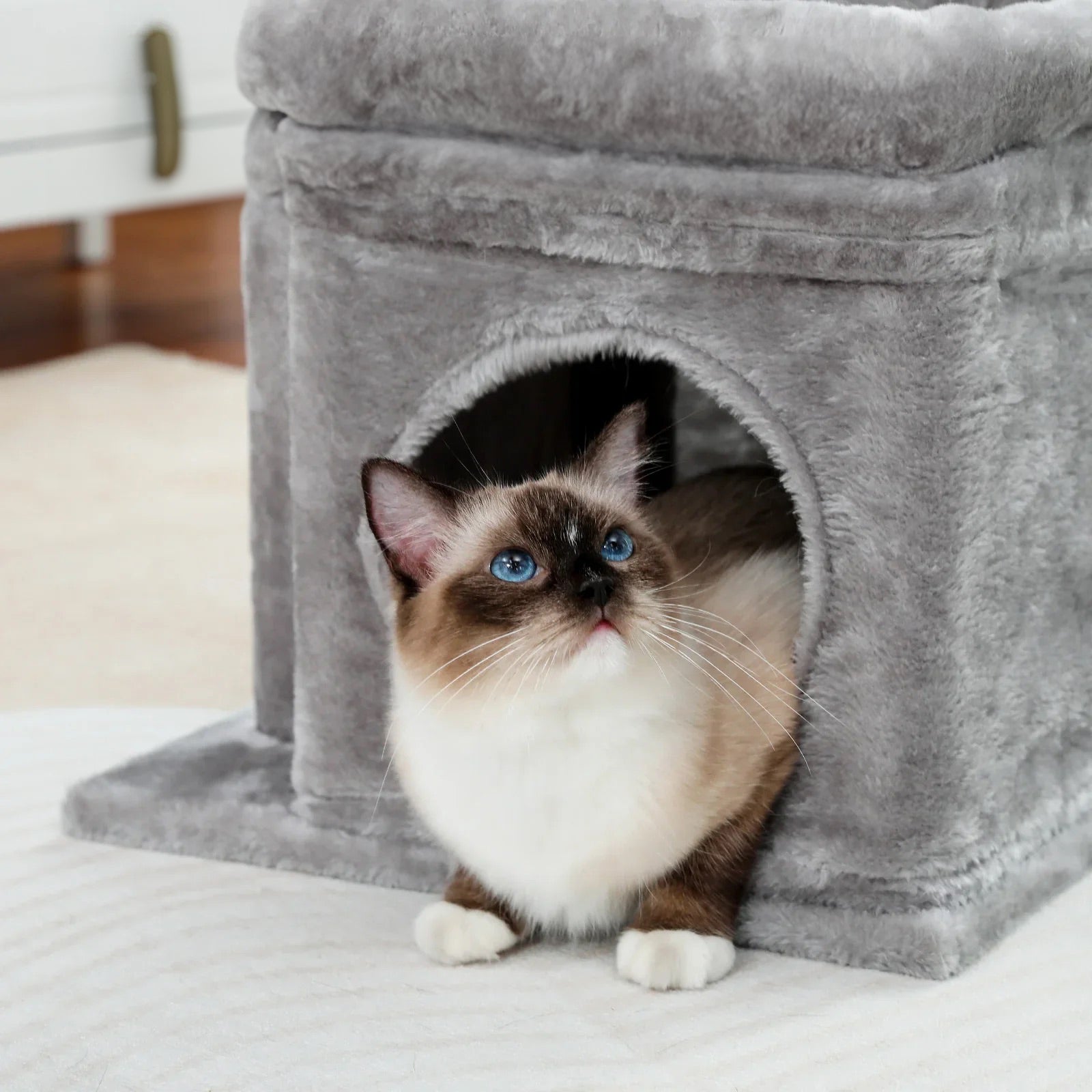 Arbre à chat Oslo 40 cm