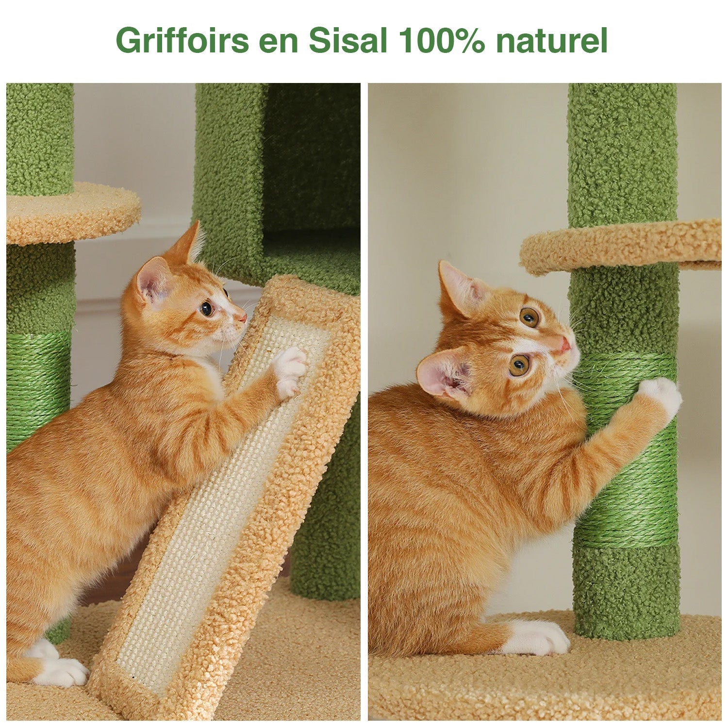 Arbre à chat Orion ajustable