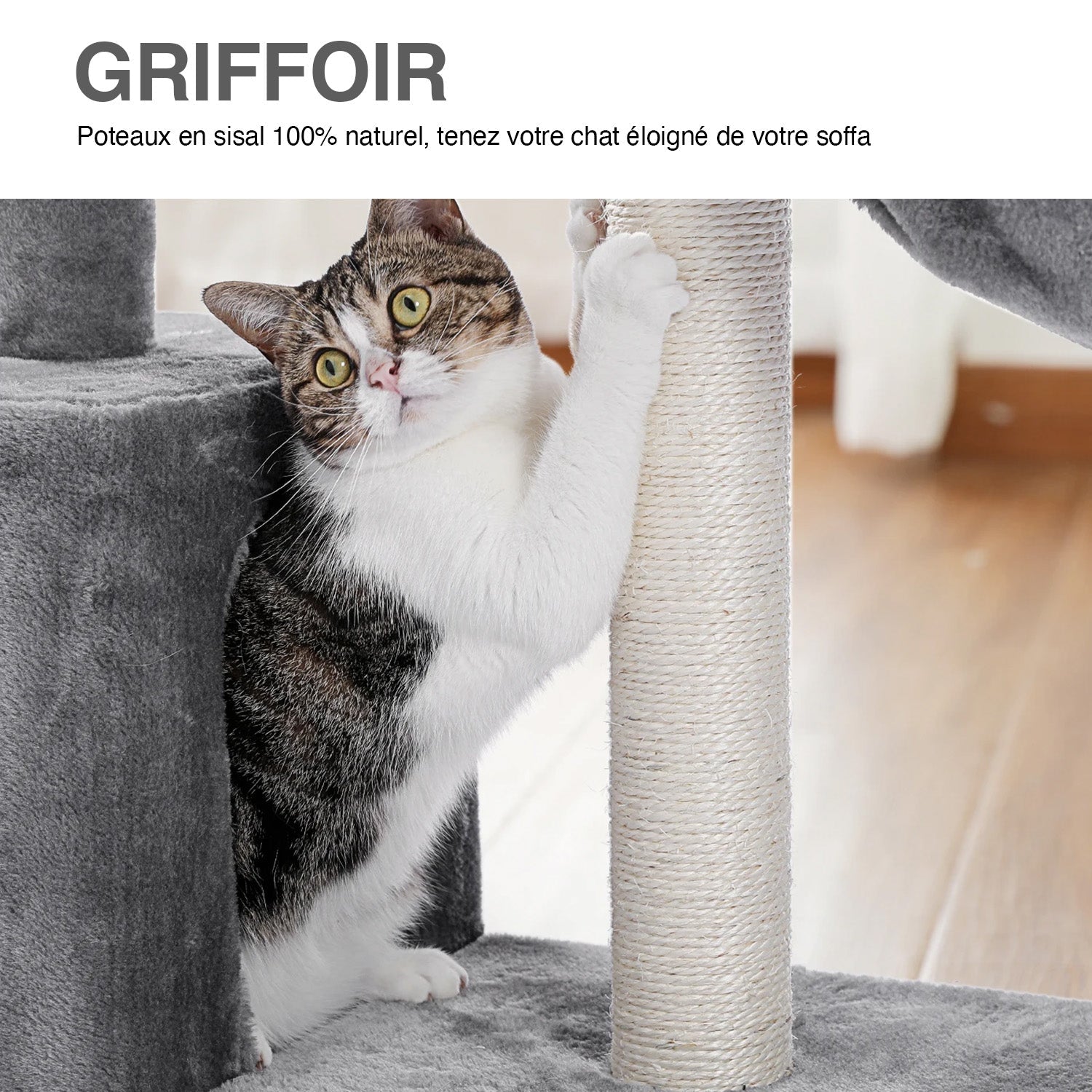 Arbre à chat Iko 71 cm